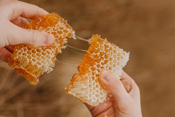 broken honey comb