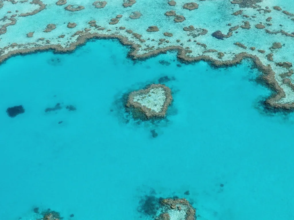 great barrier reef