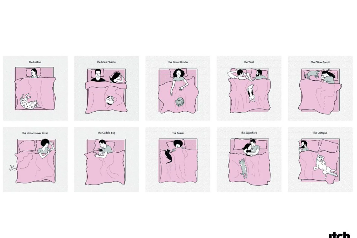 pet sleeping habits