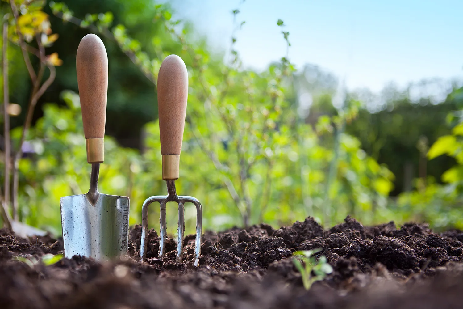 hand trowel weeding fork