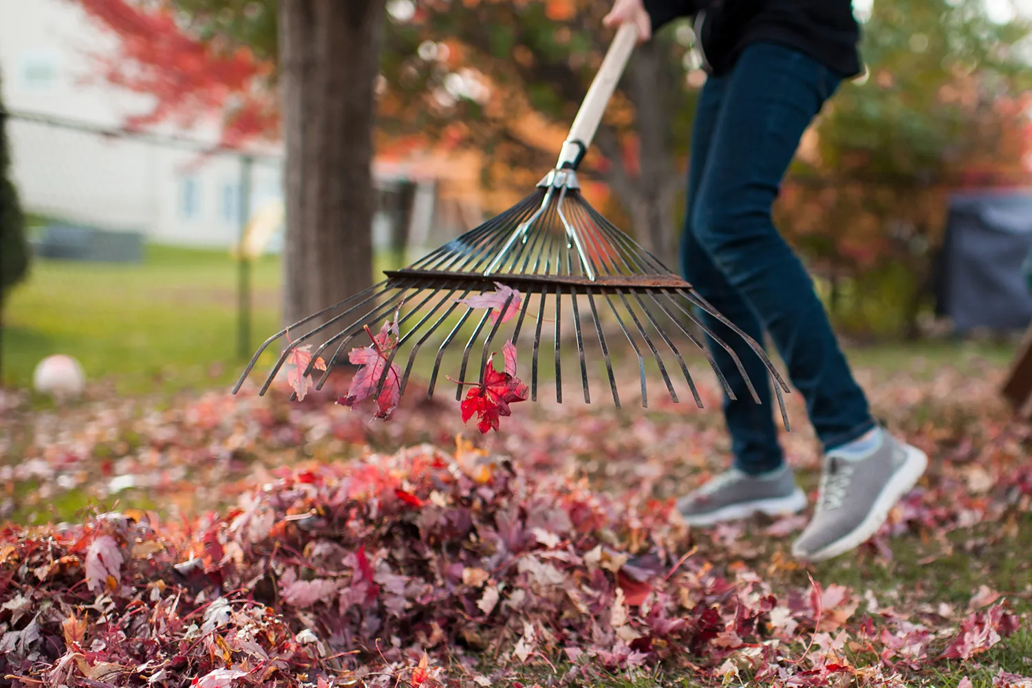 rake