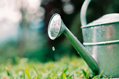 watering can