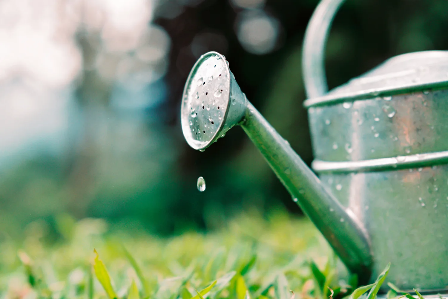 watering can