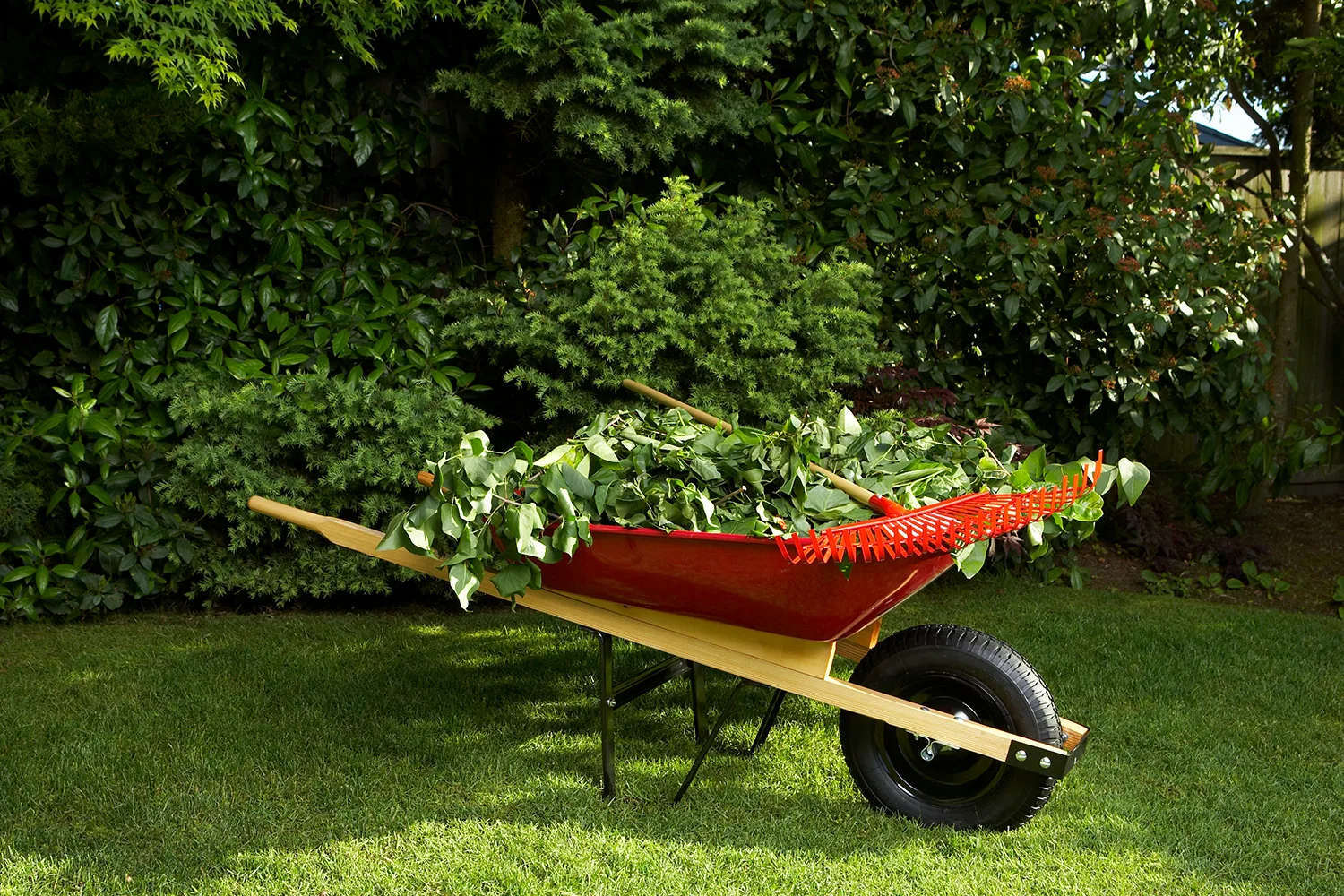 wheelbarrow