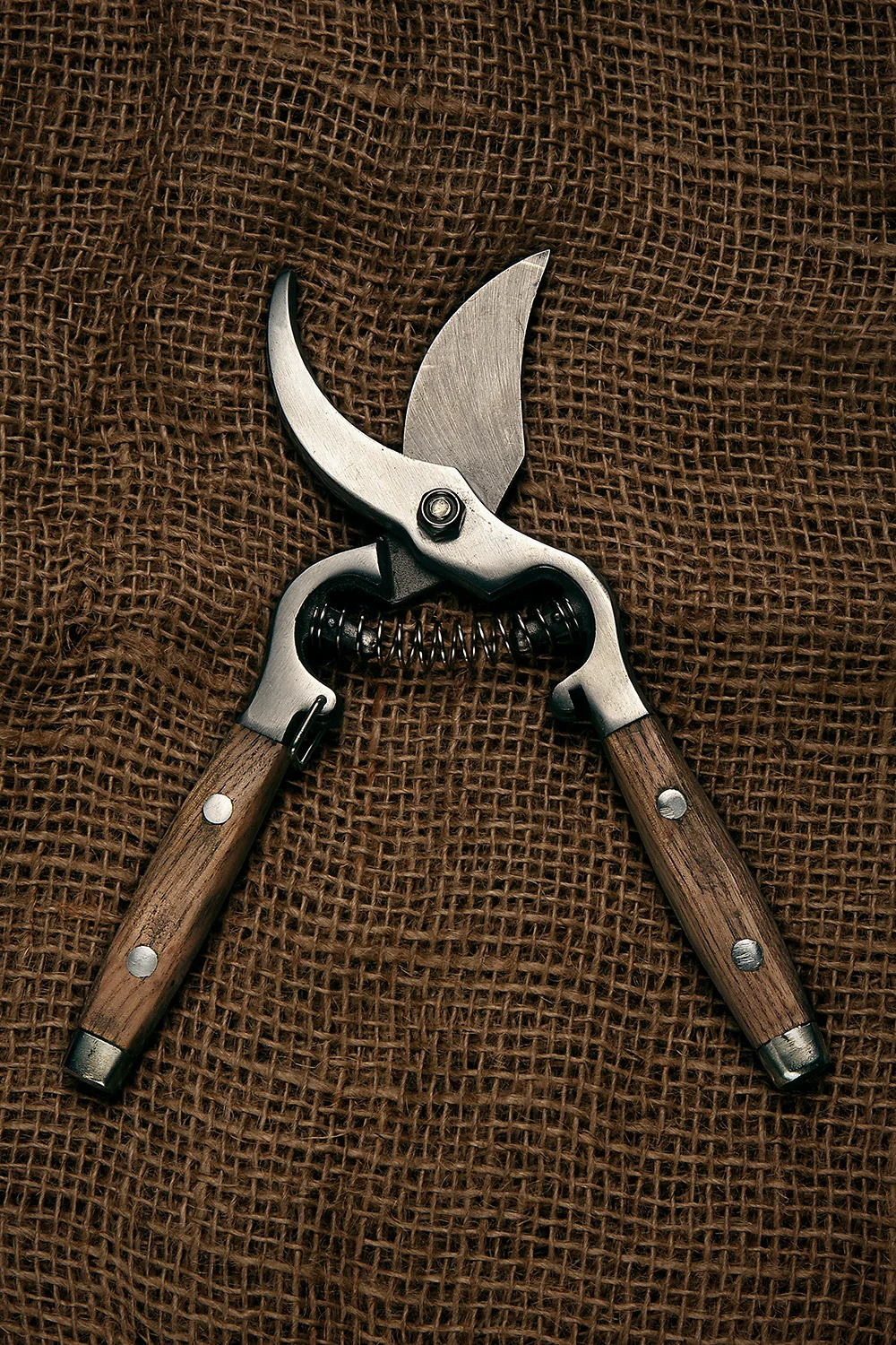 secateurs