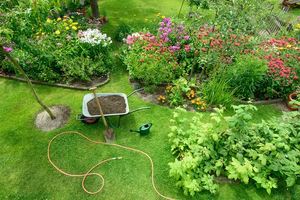 summer garden backyard
