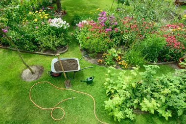 summer garden backyard