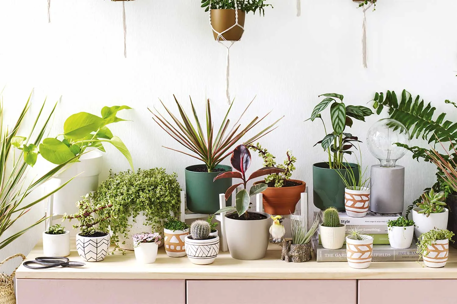 10 of the best pots and planters at Bunnings