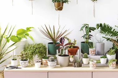 10 of the best pots and planters at Bunnings