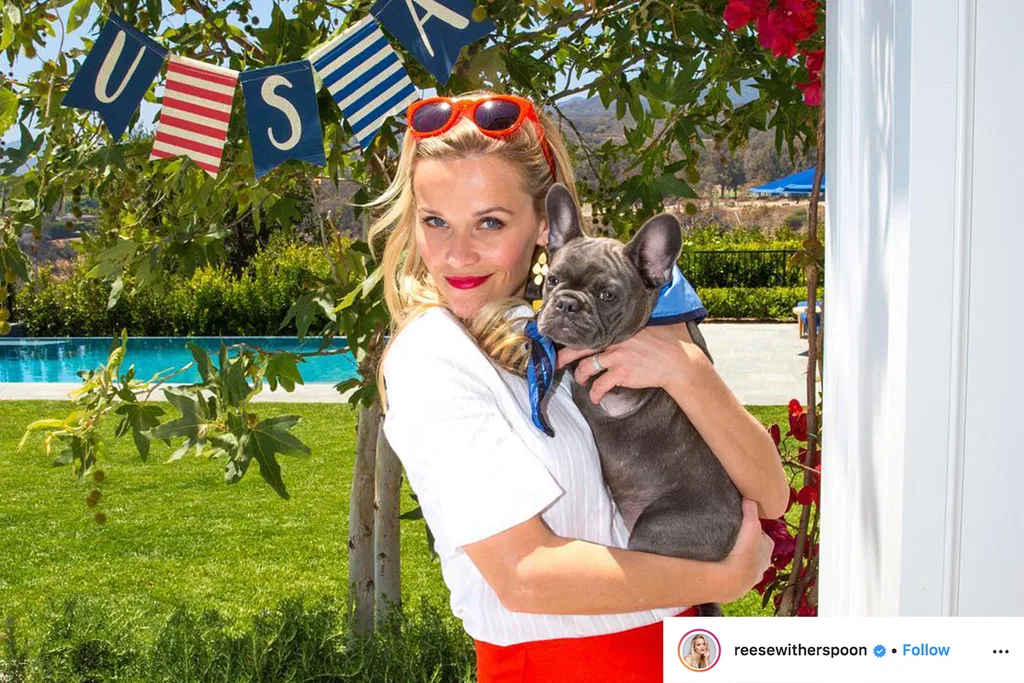 reese witherspoon with french bulldog