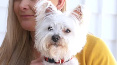Dr Harry visits a fussy eater Shih Tzu
