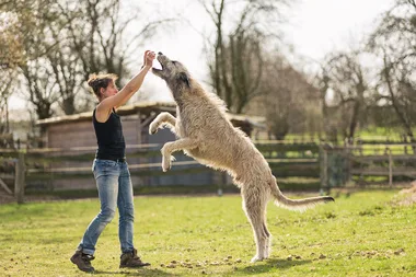 What is the biggest dog in the world?