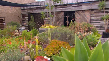 Graham visits one of Australia’s biggest plant fan