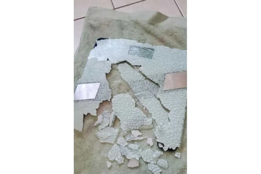 Smashed Kmart scales