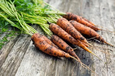 Growing carrots at home? Here’s the one thing they hate