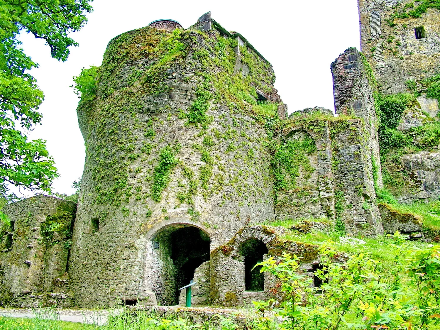 As legend has it, those who kiss the Blarney Stone gain the gift of eloquence