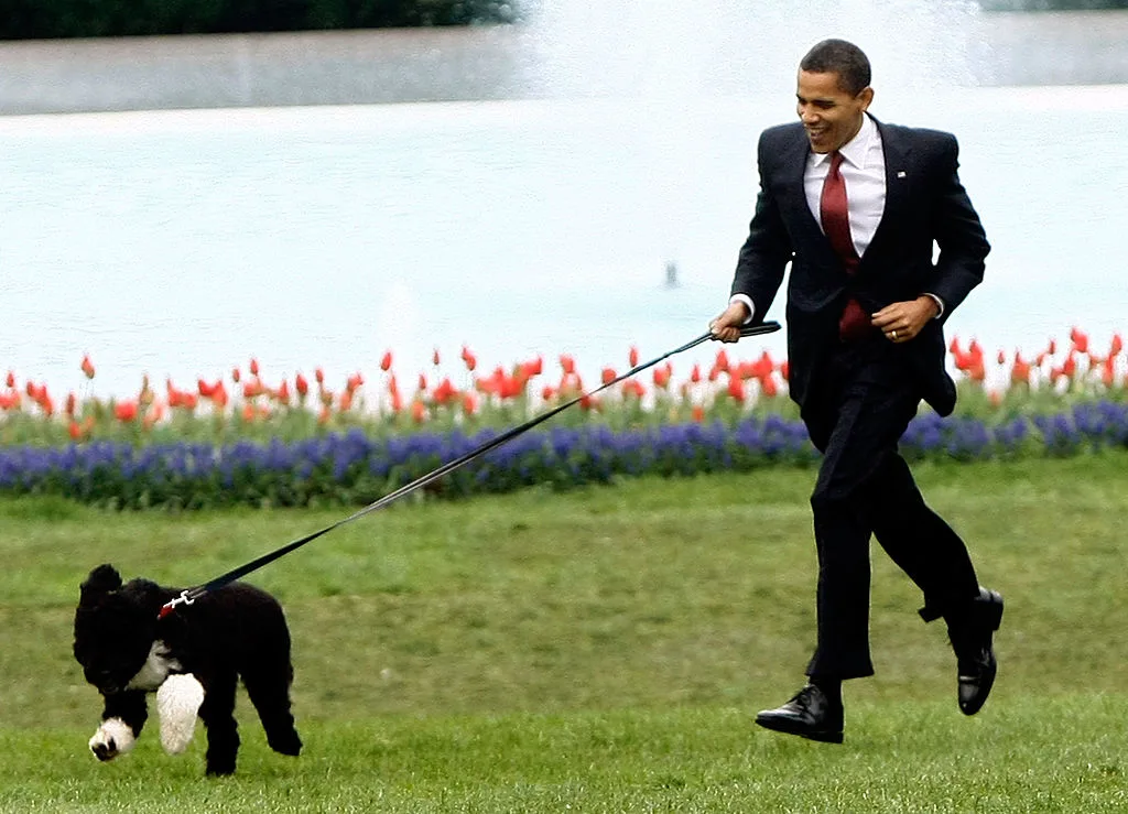 Barack Obama with Bo in 2009
