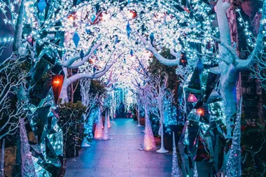 The Grounds of Alexandria has transformed into a Frozen wonderland