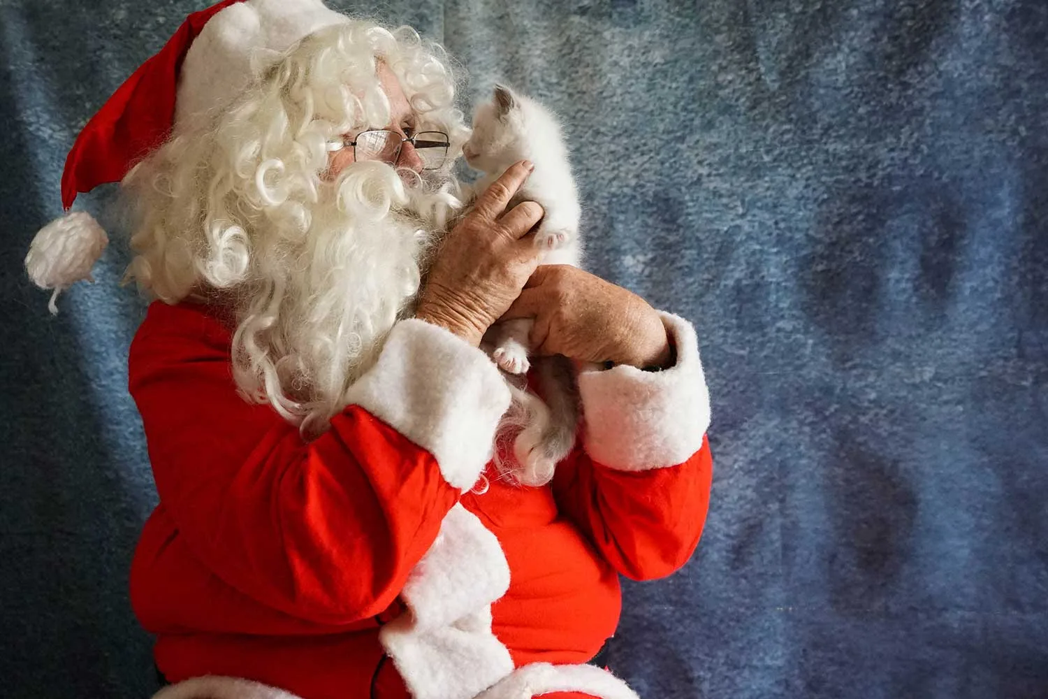 Santa with cat