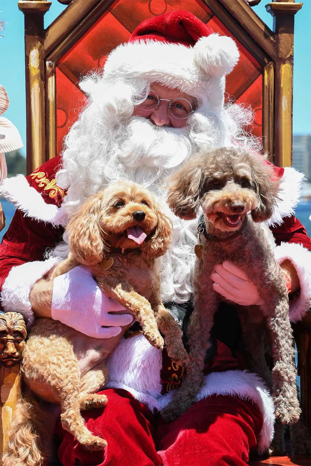 Santa with two dogs