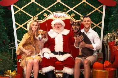 Where to get Santa pet photos around Australia 2019