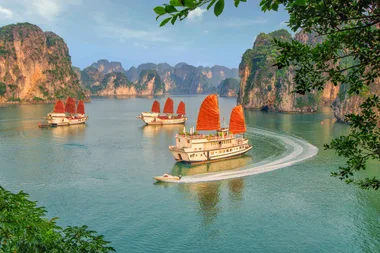A taste of Vietnam