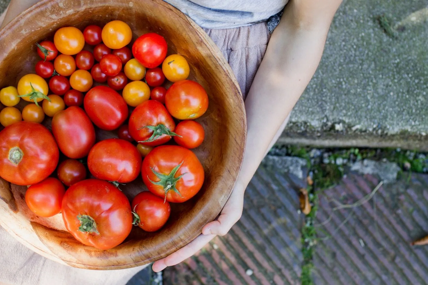 tomatoes
