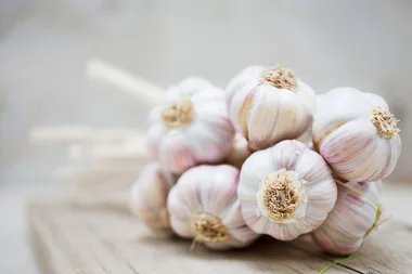 Plants that grow well with garlic