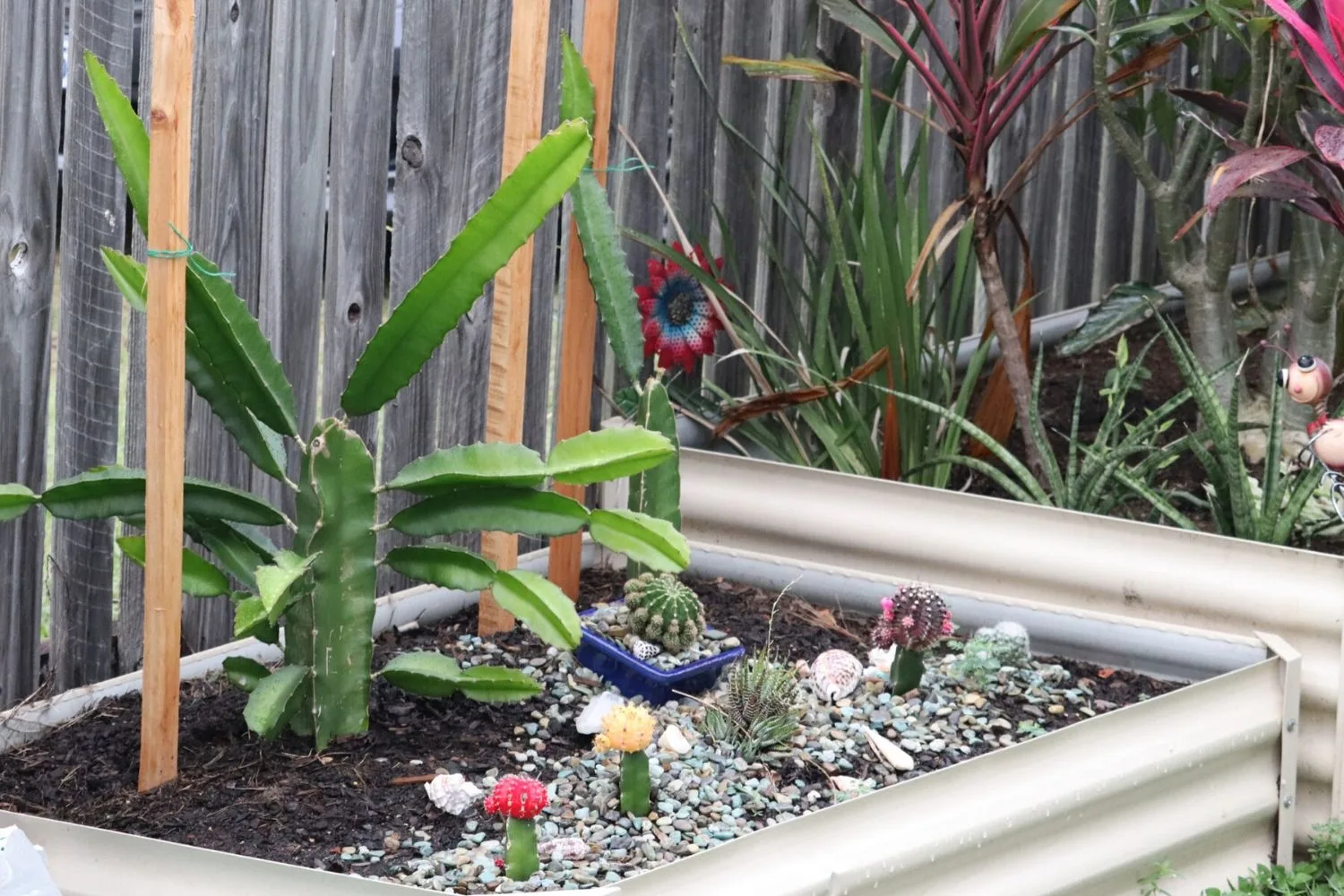 garden
