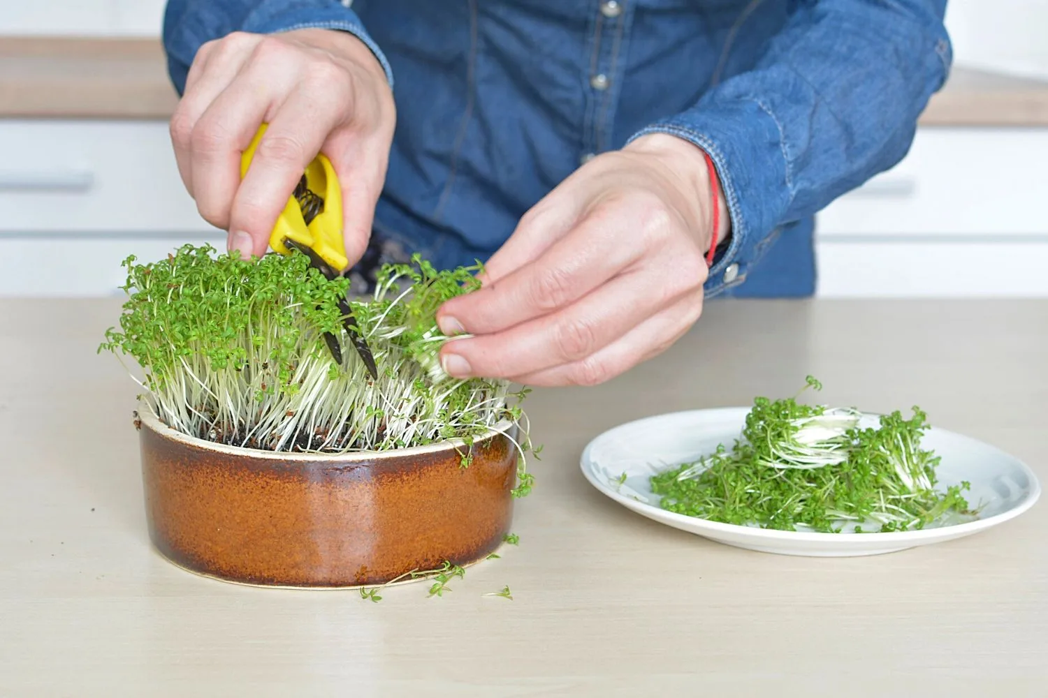 harvesting