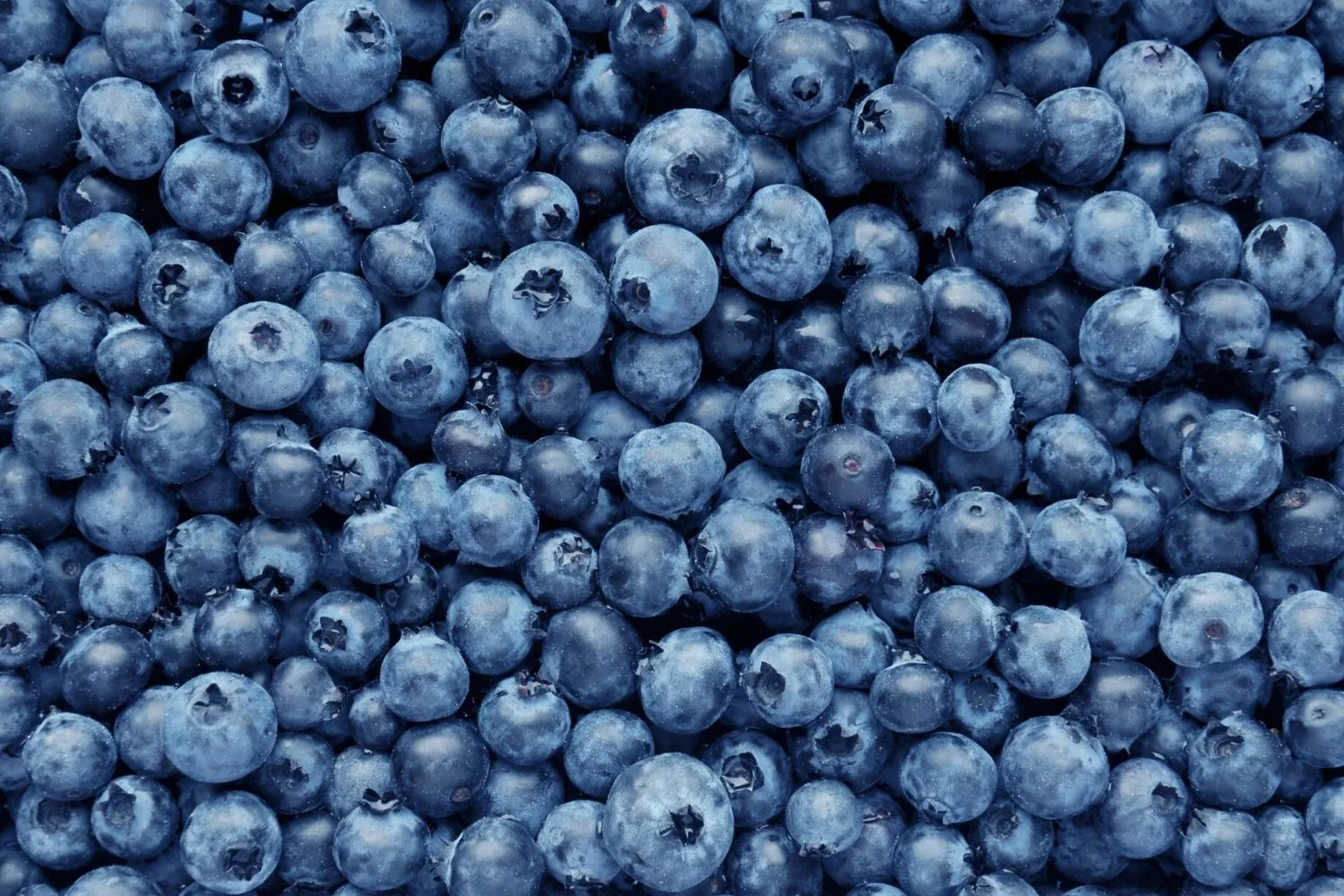 blueberries