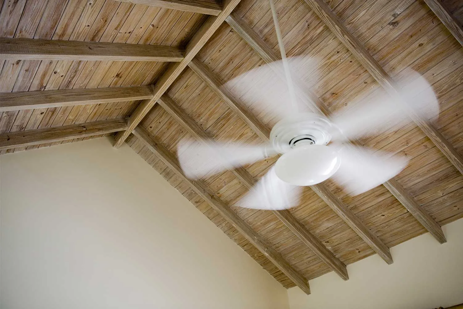 Ceiling fan