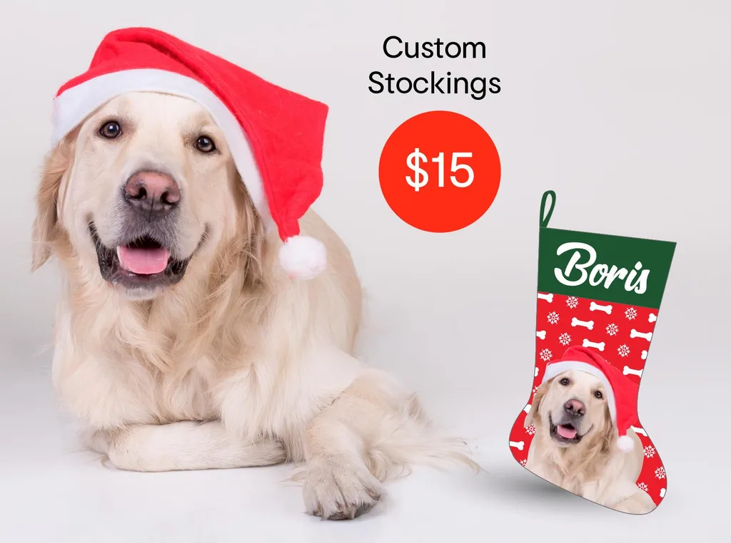 pet stocking