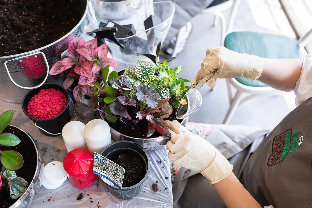 How to make a living centrepiece