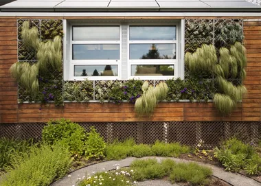 A vertical garden on the side of a house