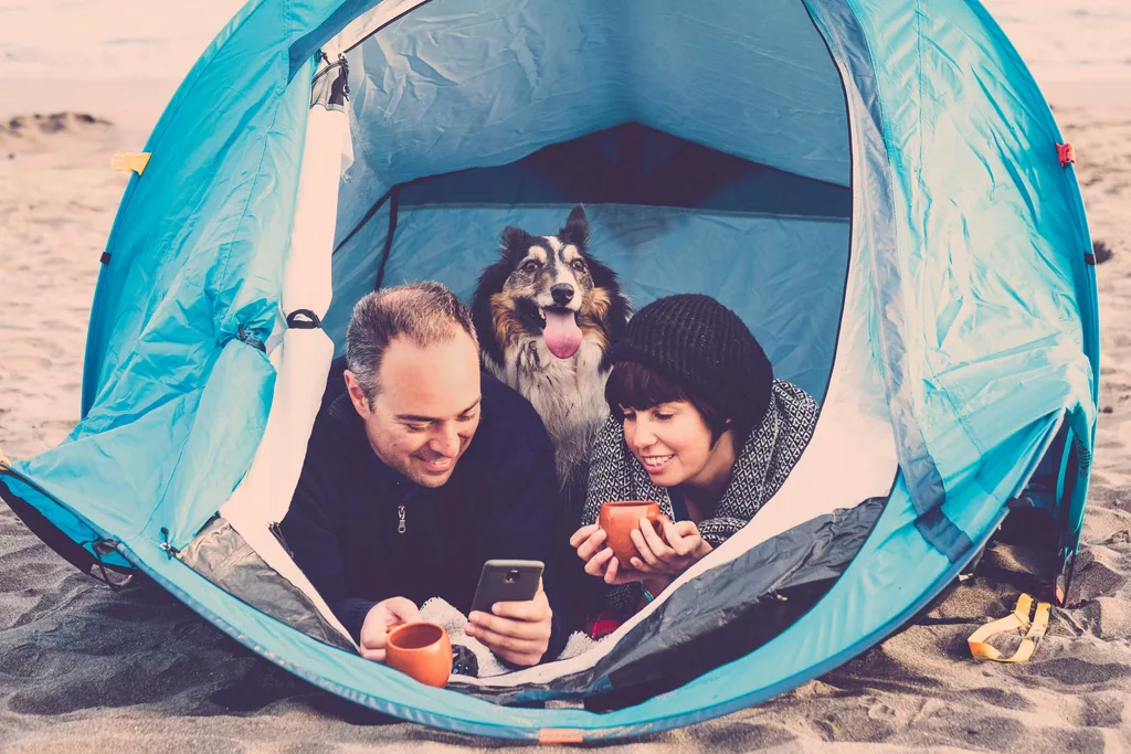A couple camping with their dog at the beach