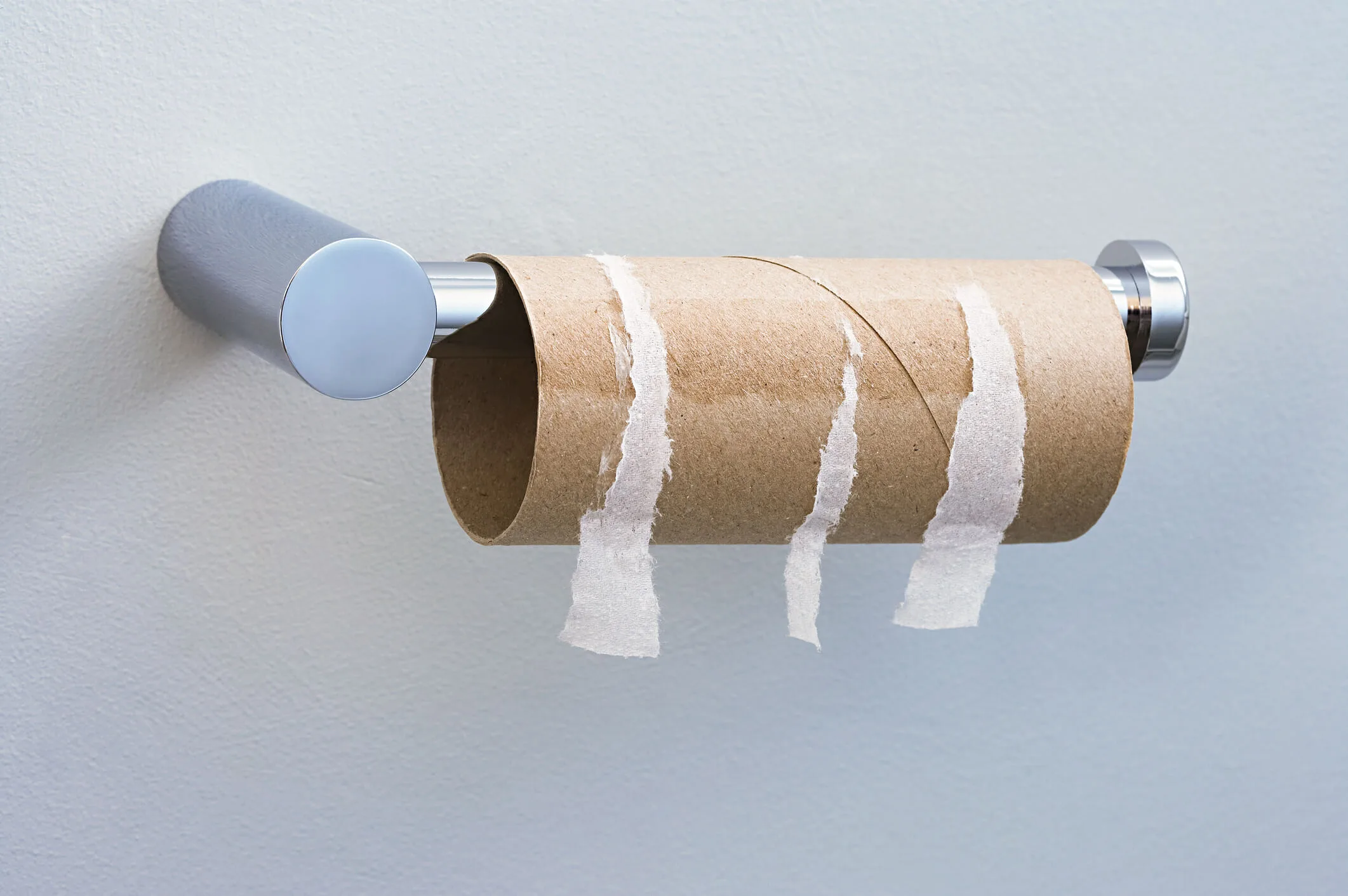 An empty toilet paper roll