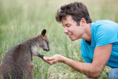 How to become a wildlife carer