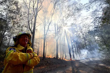 10 bushfire fundraisers to check out now