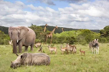 A taste of South Africa