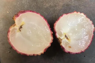 seedless lychee