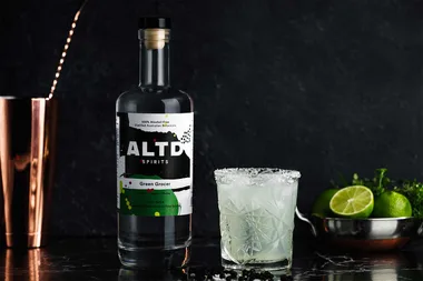 Alcohol-free margarita