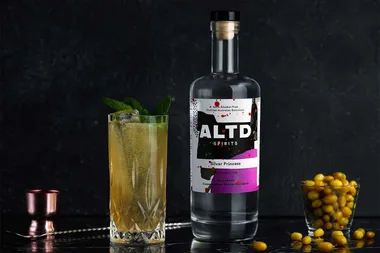 Alcohol-free Moscow mule