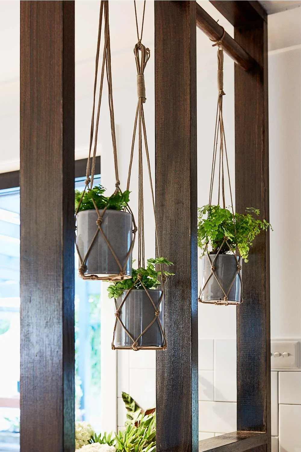 Hanging plants in kitchen