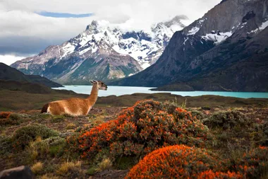 A taste of Chile