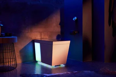 voice activated toilet