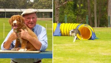 Dr Harry explores the world of dog agility