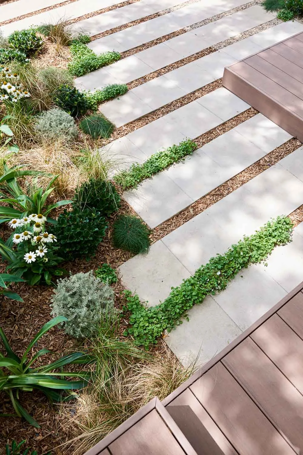 Paving stepping stones