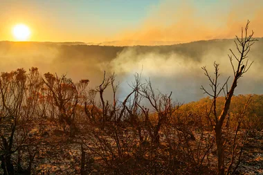 Gumtree launch new bushfire relief feature