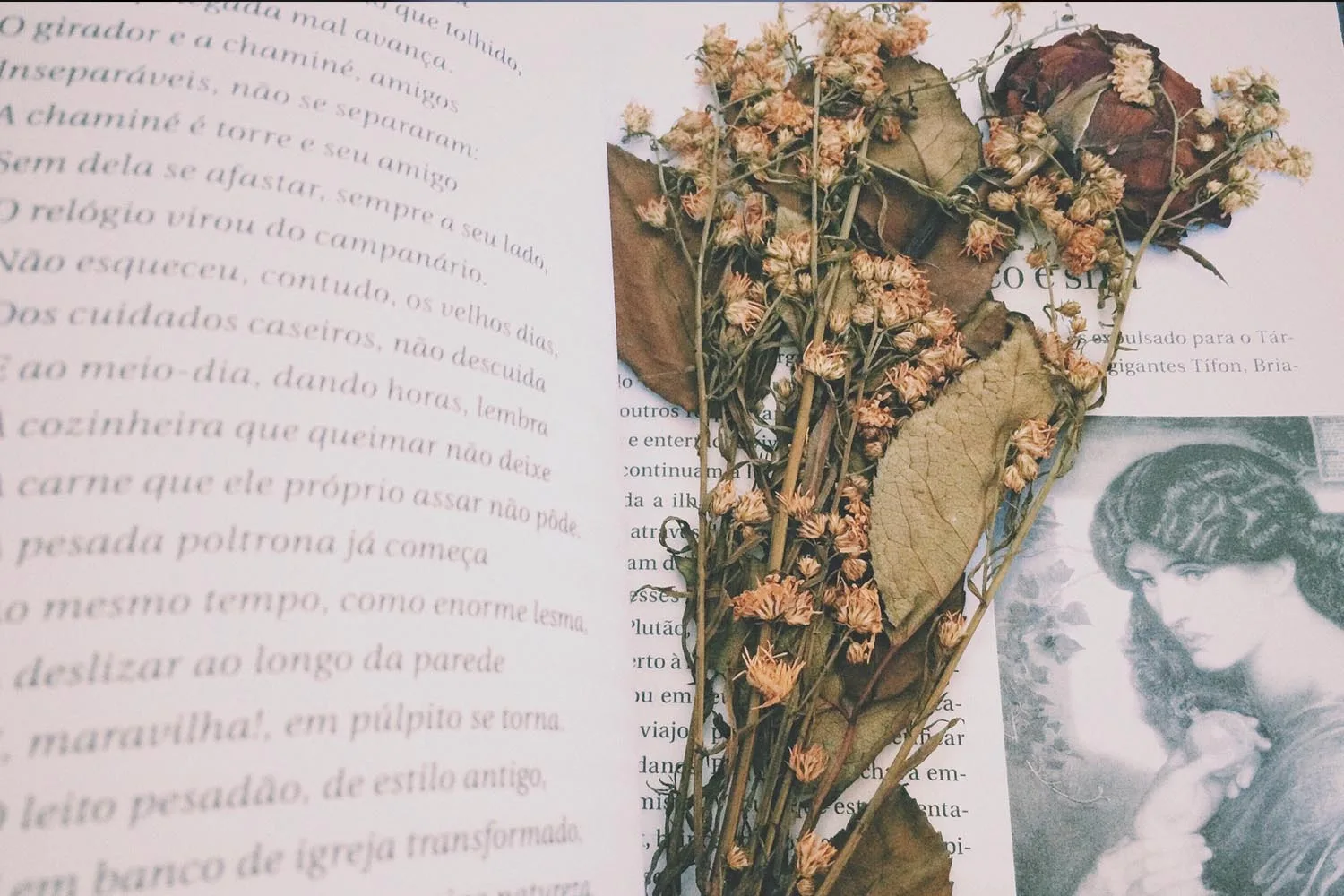 flowers pressed in book